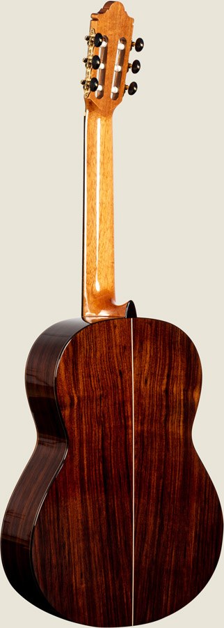 campsguitar m back