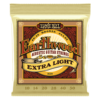 ernie ball acoust