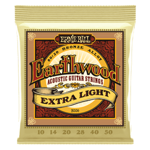 ernie ball acoust