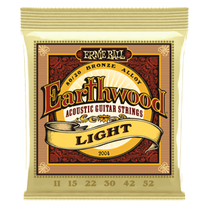 ernie ball acoust