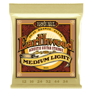 ernie ball acoust