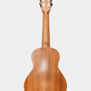 guitalele samouelian piso web scaled
