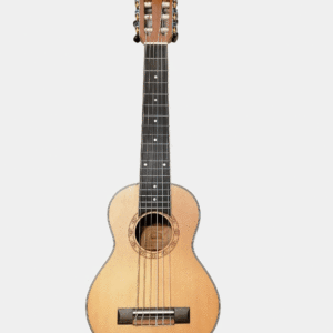 guitalele samouelian web scaled
