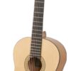 yamaha guitar c m